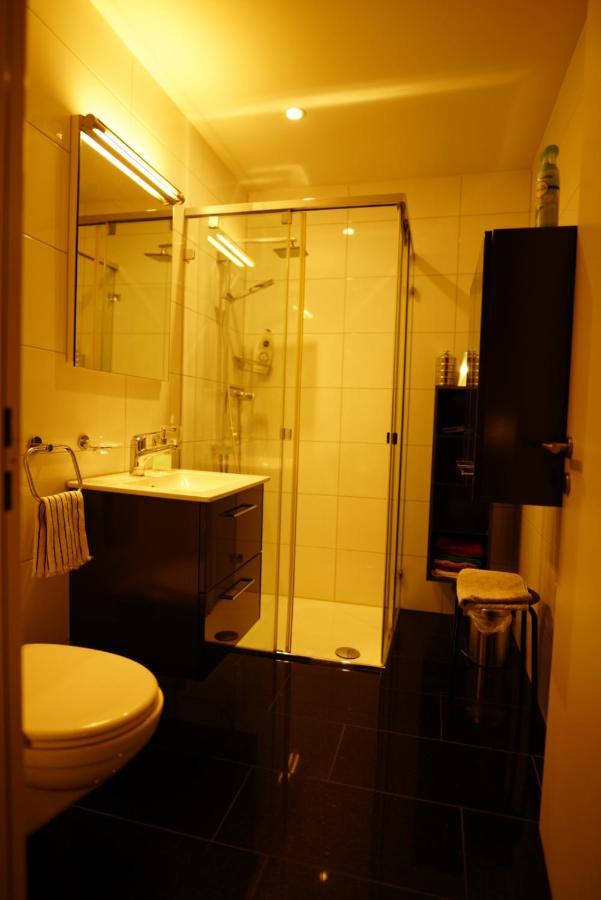 Séjour chez l'habitant Esther's - Big 26m2 Horgen